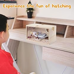 Rypet Parakeet Nesting Box Transparent