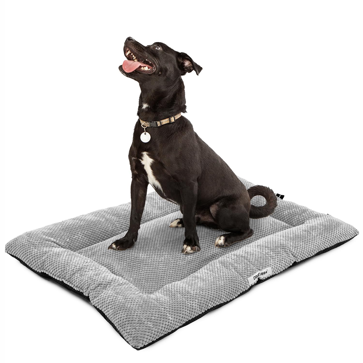 DogCrates+ Medium Washable Dog Bed – Soft Comfortable Cushion Mat with Anti-Slip Bottom, Collapsible and Durable, Grey