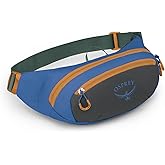 Osprey Daylite Earth Waist Pack for Men and Women, Dark Charcoal/Blue Flame