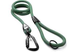 MADE TO ROAM Premium Explorer Leash - Climbing Rope Leash with Autolocking Aviation Aluminum Carabiner - Oregon Haze, 6ft