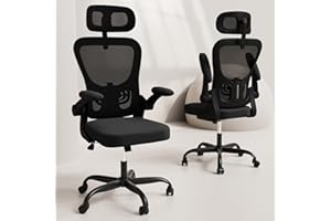 EESDOM Ergonomic Office Chair, High Back Home Desk Chair with Adjustable Lumbar Support and Headrest, Breathable Mesh Swivel Task Chair, Black Executive Computer Chair, 1 Pack