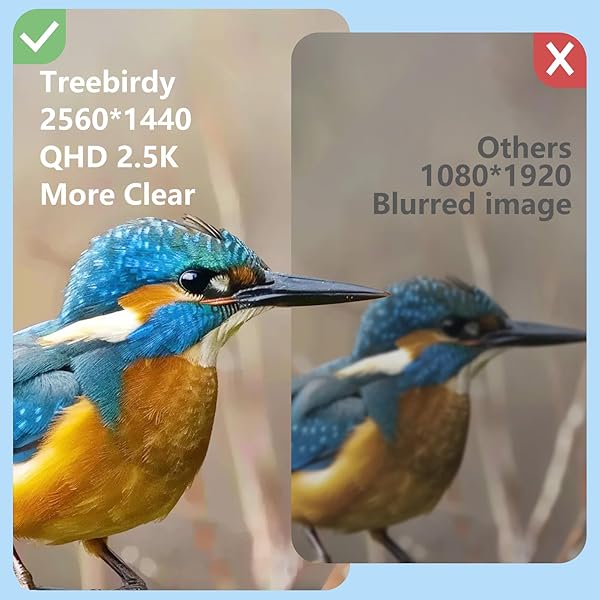 TREEBIRDY SMART BIRD FEEDER CAMERA – 4MP 2.5K FULL HD, 64G TF CARD INCLUDED, SOLAR POWERED WIRELESS, AUTO CAPTURE BIRD VIDEO & NOTIFY DETECTED BIRDS, AI IDENTIFY 11000+ BIRDS FEED WATCHING CAMERA