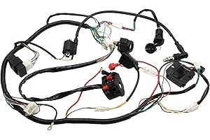 GREESP Complete Electric Wiring Harness Loom Kit for 150cc 200cc 250CC Go Kart ATV Taotao Kazuma Buggy