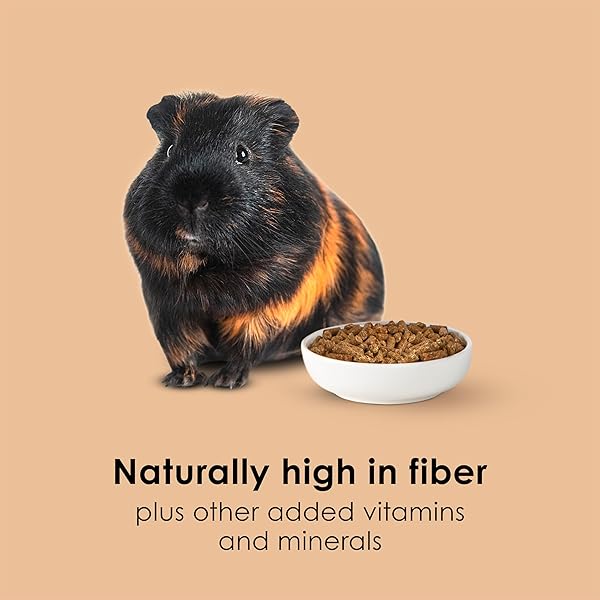 KAYTEE TIMOTHY COMPLETE GUINEA PIG FOOD, MADE WITH TIMOTHY HAY, HIGH IN FIBER, SUPPORTS DENTAL HEALTH AND DIGESTION, LONG-LASTING VITAMIN C, 9.5 POUNDS