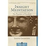 Insight Meditation: The Practice of Freedom