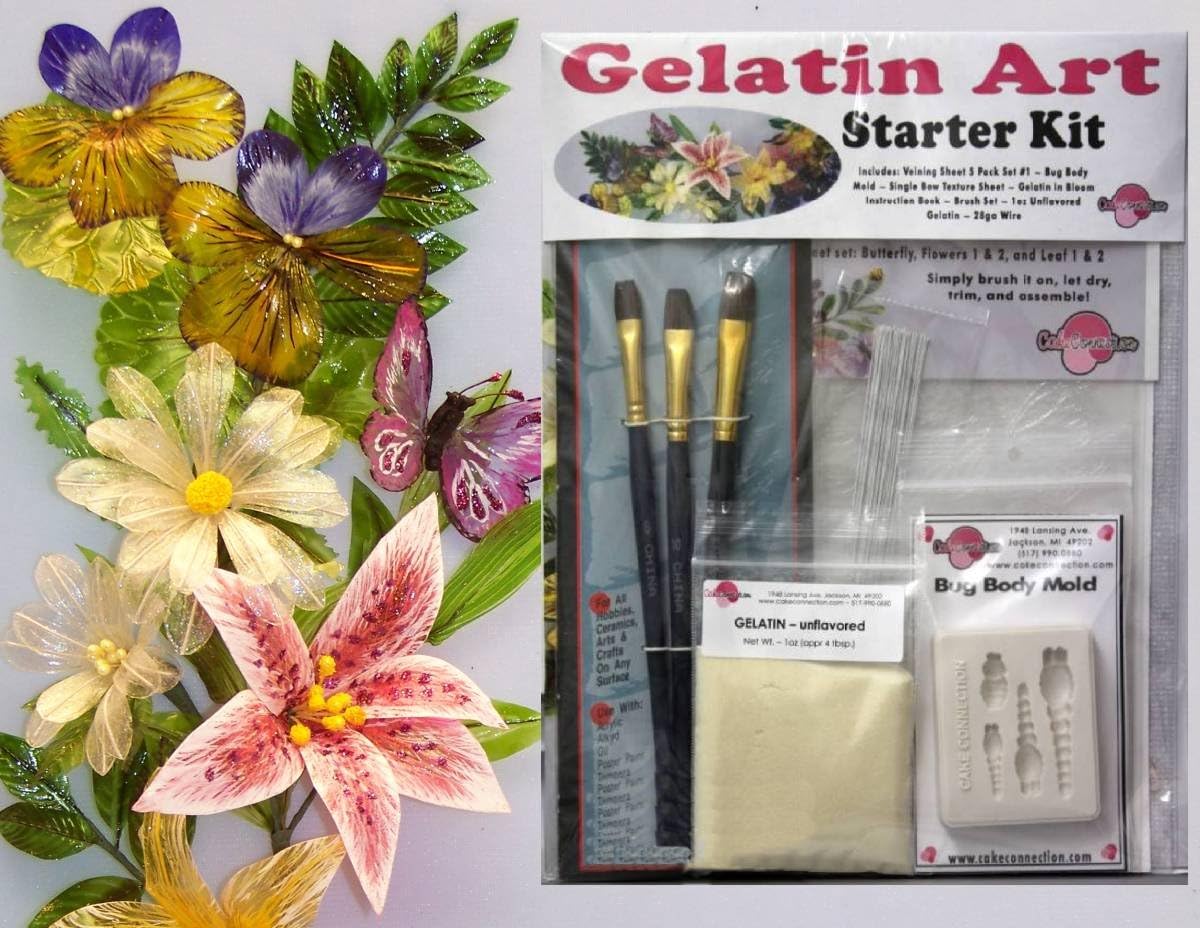 Gelatin Art Starter Kit Amazon.co.uk Health & Personal Care