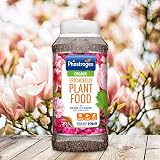 Phostrogen Ericaceous Plant Food 800g Iron Rich Organic for Acid Loving Plants view 4