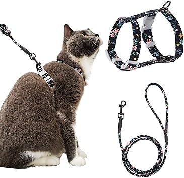 amazon cat harness and lead