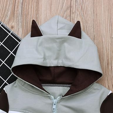 Dragon Honor Toddler Raccoon Hoodie Jacket For Baby Infant Boys Girls Unisex Zipper Coats