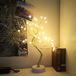 OTAVILEM Bonsai Tree Light for Room