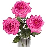 ICBOX 3PCS Hot Pink Real Touch Rose 5.1'' Large Roses 23.62'' Artificial Austin Roses with Stems for Tall Vases Faux Roses Peonies for DIY Wedding Bouquets & Home Decor(Hot Pink)