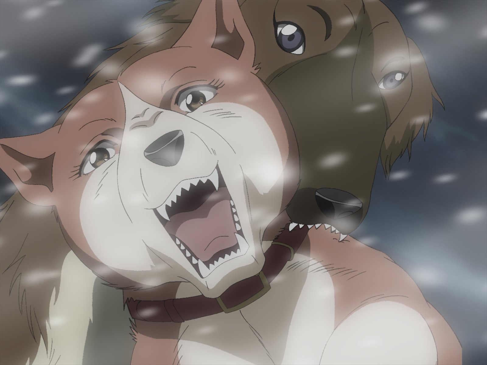 Amazon Co Jp 銀牙伝説weed ウィード を観る Prime Video