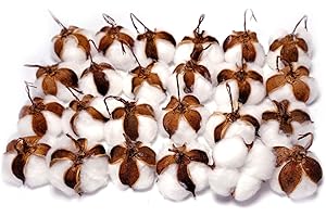 CIR OASES Real Cotton Balls Decor - 24 Pieces for Wreath Decor Cotton Bolls Balls Natural Cotton Farmhouse Style for Home Decor Wedding Vase Bowl Filles DIY (24 Pieces)