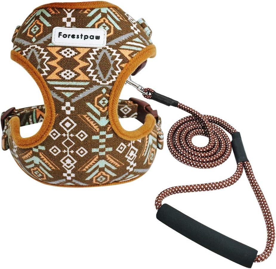 cat haven lost and found incoming cats