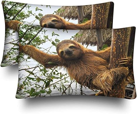 sloth pillow amazon