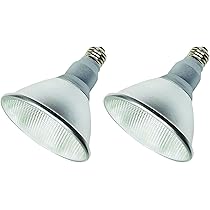 38灯 38-kT nature ver. 38灯 38-kT nature ver. | COLONISTA