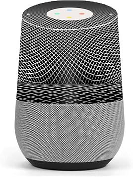 google home skins