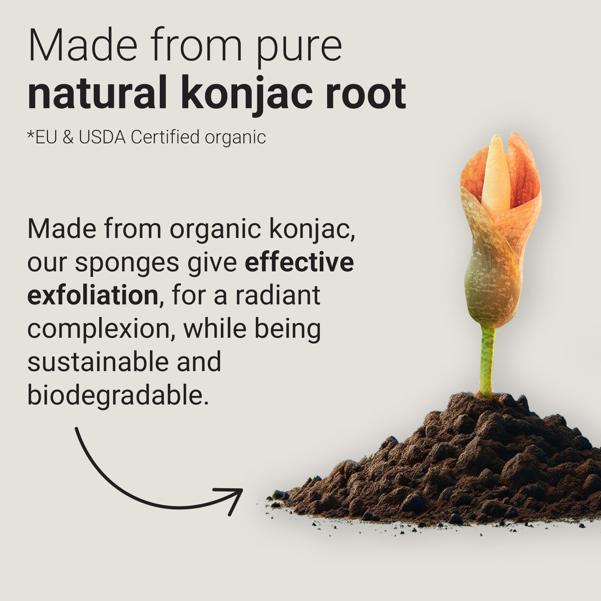 Vove Organic Konjac Facial Sponges 3-Pack - Natural Face Exfoliating Sponges with Bamboo Charcoal & Green Clay, Gentle Cleansing for All Skin Types, Natural Vegan Skincare, Certified Organic