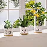 TuDou Best Auntie Ever Ceramic Succulent Pots Gift Set view 7