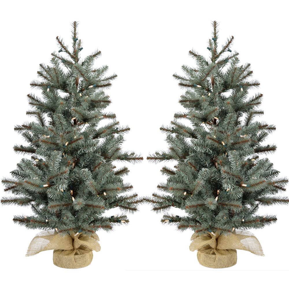 Photo 1 of ***1 missing*** Christmas Time 3-Ft. Prelit Yardville Pine Accent Tree in Burlap Bag, Warm White LED Lights, Set of 2, CT-YV042-LED/S2, Green