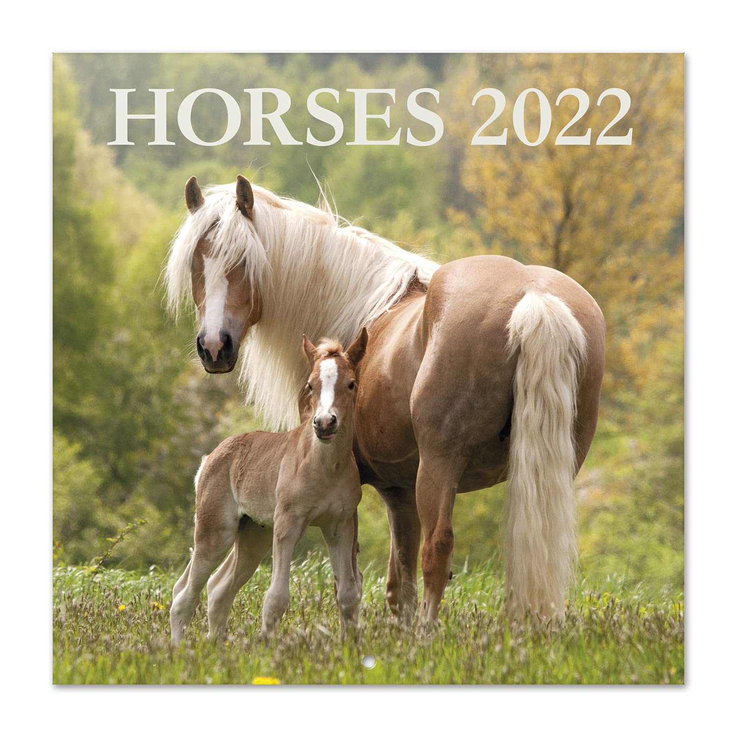 Grupo Erik: Official Horses 12' x 12' Square Wall Calendar 2022, Family Calendar, Horses Calendar - Animals Calendar