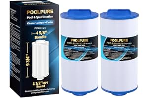 POOLPURE Spa Filter Replaces PGS25P4, Unicel 4CH-24, Filbur FC-0131, 20254-238, SD-00004, CH25, PAS-1217, 12519, Gatsby 25, 2
