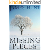 Missing Pieces (A North and Martin Abduction Mystery Book 2) book cover