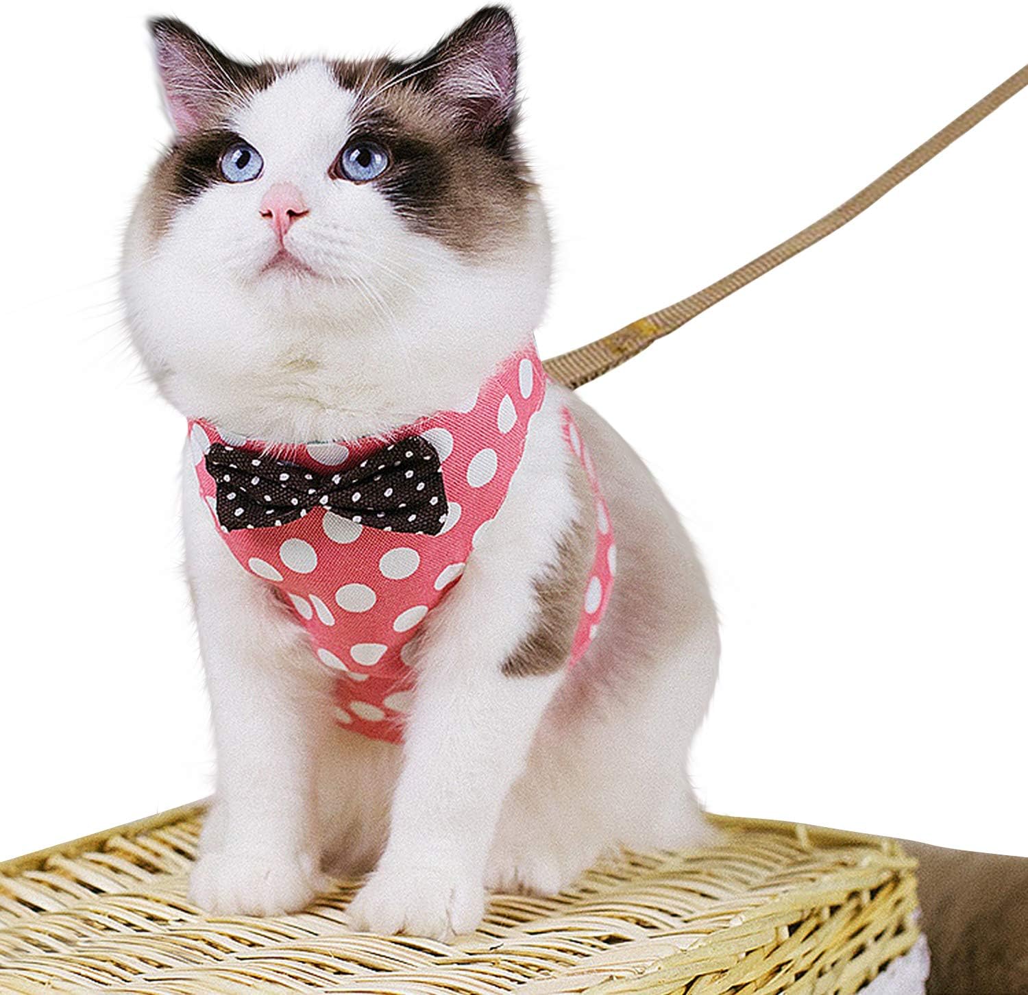 CROWNY Cat Harness and Leash Set ,No Pull Escape Proof Cat Vest Harness with Bowknot Polka Dot Easy on Jacket for Walking and Running