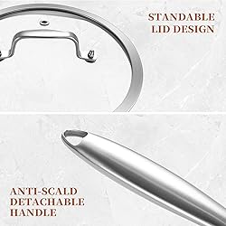 LOLYKITCH Whole Body Tri-Ply Stainless Steel 5.5 QT