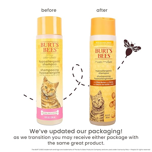 BURT’S BEES FOR PETS HYPOALLERGENIC CAT SHAMPOO WITH SHEA BUTTER AND HONEY, GENTLE KITTEN SHAMPOO FOR INDOOR CATS WITH DRY OR SENSITIVE SKIN, CAT BATHING SUPPLIES, 10 FL OZ