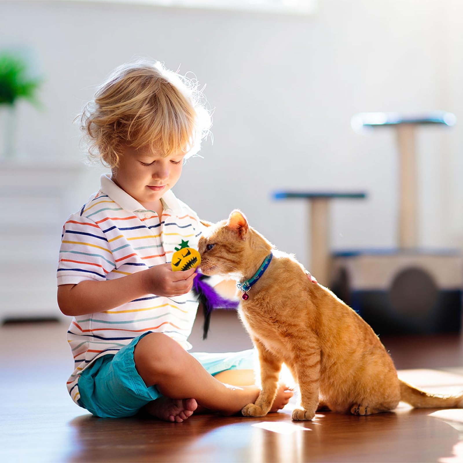 View 6