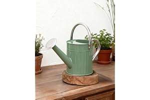 Bamworld Watering Can Indoor Stainless Steel Watering Can Indoor Outdoor Long Spout Water Can for Watering Plants 1/2 Gallon 