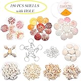 Jangostor Shells Set (9 Kinds 150PCS Sea Shells with Hole/ 5 PCS Metal Keychain/ 20 PCS Jump Rings/ 5 M Crystal Elastic String) Natural Colorful Seashells Perfect for Jewelry Making, Home Decoration