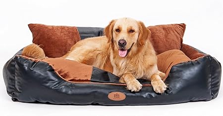 pain meds dogs can take