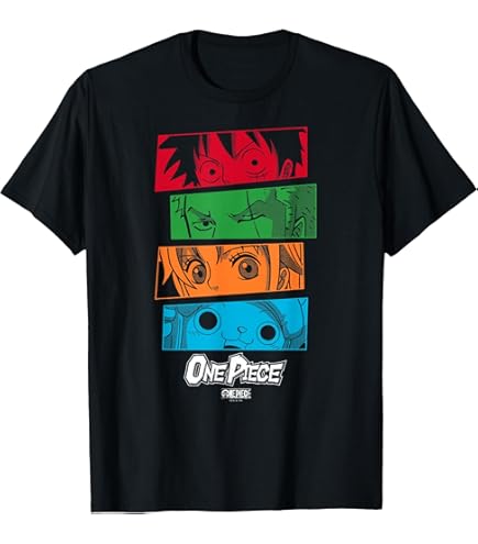 Amazon.com: One Piece Anime Vertical Kanji Thousand Sunny Pirate