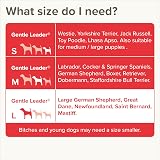 Beaphar Gentle Leader Head Collar for Large Dogs - Anti-Pull Training view 6