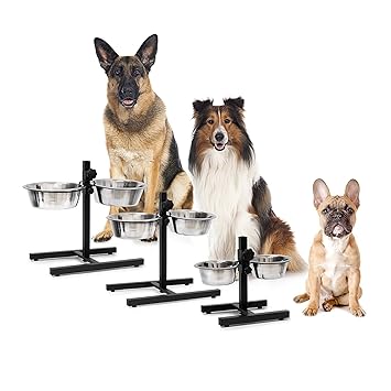 Pets Empire Stainless Steel Feeding Bowl with Height Adjustable Stand for Dogs and Cats, Large - Set of 2