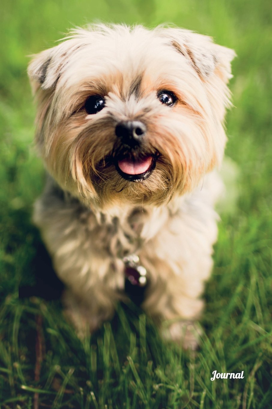 Journal: Yorkshire Terrier Dog Journal 