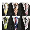WeiShang Lot 6 PCS Classic Men's Tie Silk Necktie Woven JACQUARD Neck Ties