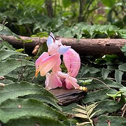 IFiDEA Animal Heavenly Body Series 11 Insect Chubby