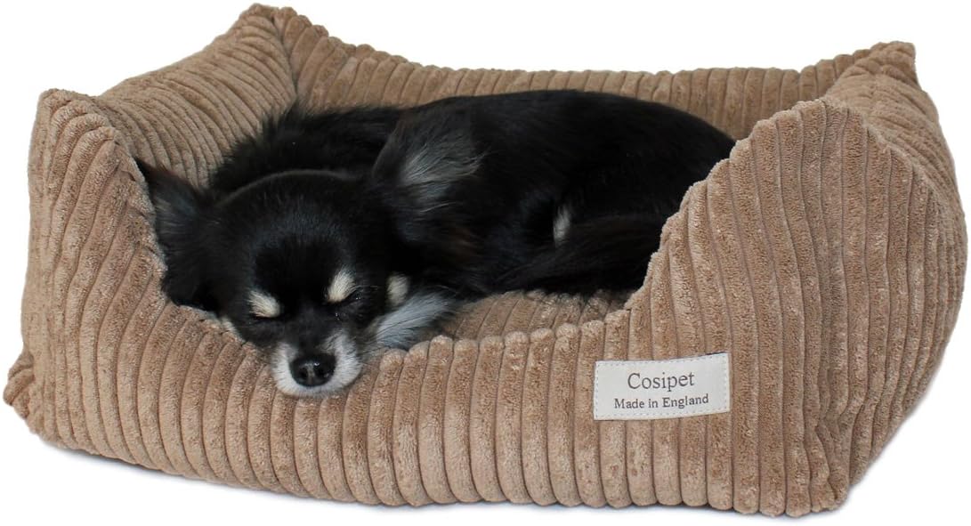 Cosipet Koala Kalahari Biscuit Bed, X-Large, 42-Inch