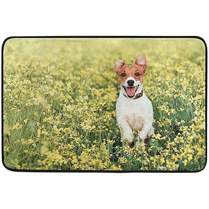 Amazon Com Didiandf 23 6x15 7 Inch Non Slip Polyester Doormat