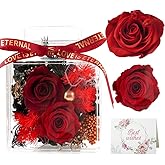 Cynrikah Cyrikah Forever Flowers, Preserved Flowers in Acrylic Box Forever Rose Eternal in Decorative Box Birthday Gifts/Anniversary Glass Angel Gifts Floral Gift for Women/Wife/Mom/Grandma(Red)