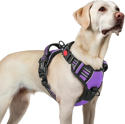 rabbitgoo Large Dog Harness Front Back Clip No-Pull Reflective Purple L