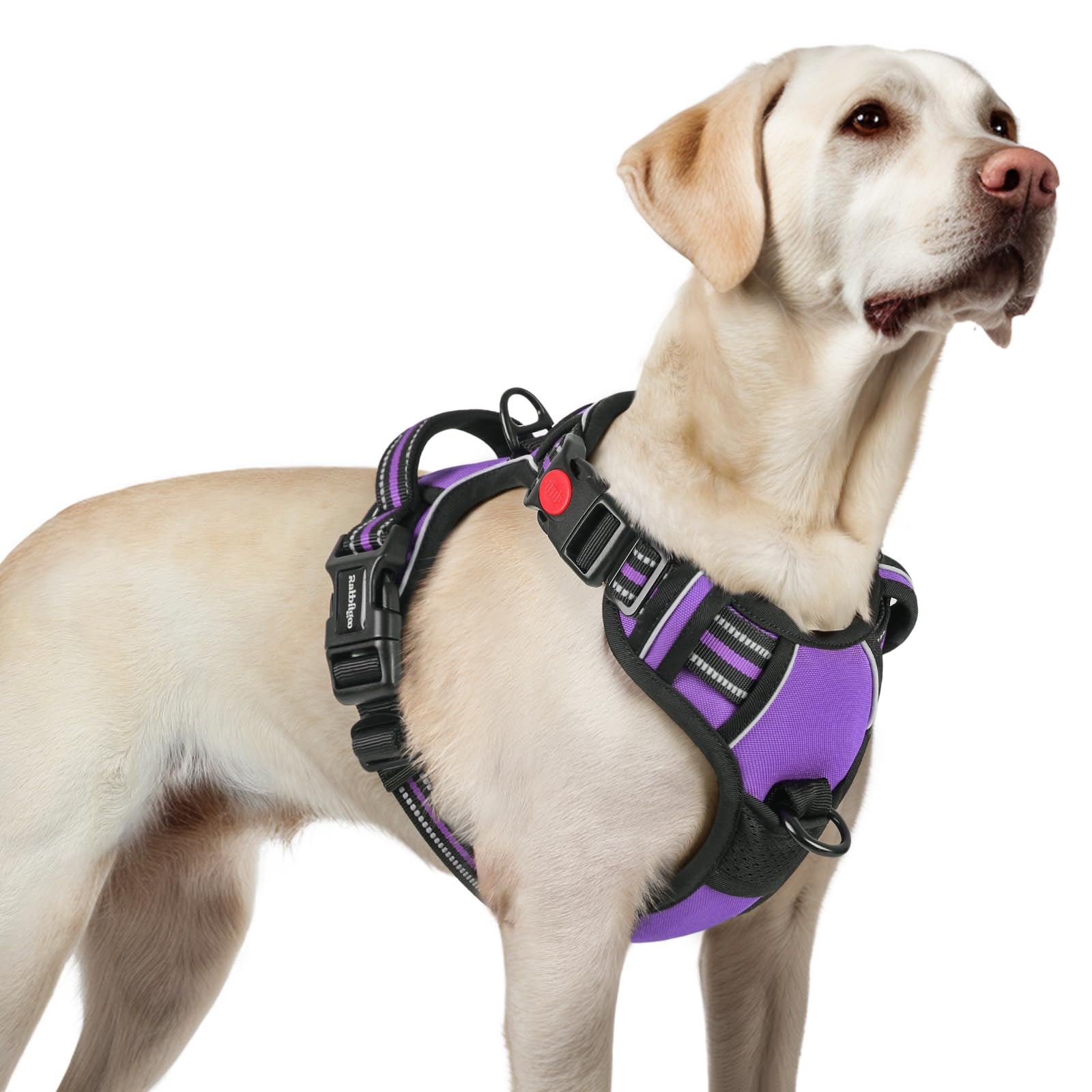 rabbitgoo Dog Harness Large Dog with Neck Release Buckle, No Pull Harness with Front Back Clips, Adjustable Soft Padded with Easy Control Handle, Reflective No-choke Pet Walking Vest, Purple, L