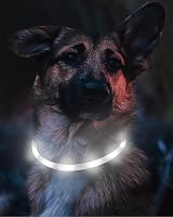 Joytale Light Up Dog Collar LED Rechargeable White, 70cm, Type-C Charging view 3