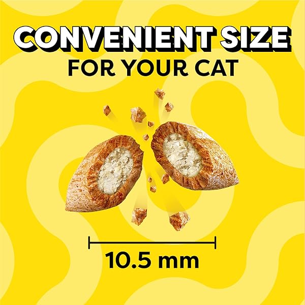 TEMPTATIONS CAT TREATS, CLASSIC CRUNCHY AND SOFT CAT TREATS, CATNIP FEVER FLAVOR, CATNIP TREATS, 16 OZ. TUB