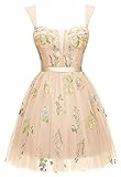 Short Homecoming Dresses for Teens 2023 Tulle