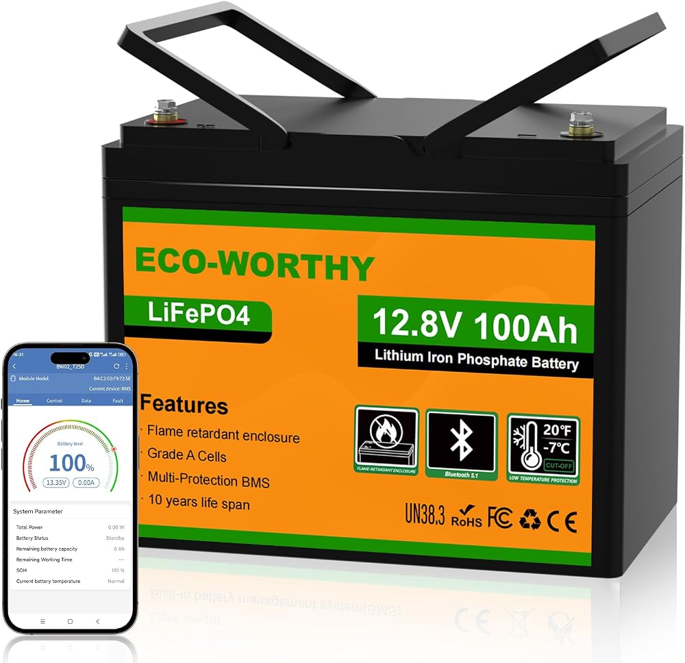 ECO-WORTHY 12V 100Ah LiFePO4 Battery Group 24 with Bluetooth Low Temp Protection