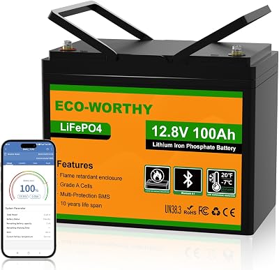 ECO-WORTHY 12V 100Ah LiFePO4 Battery Group 24 with Bluetooth Low Temp Protection